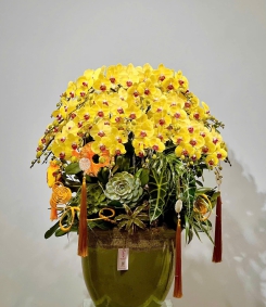 Hồ Điệp Vàng TT020