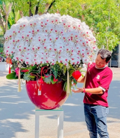 Lan Hồ Điệp Trắng TN028