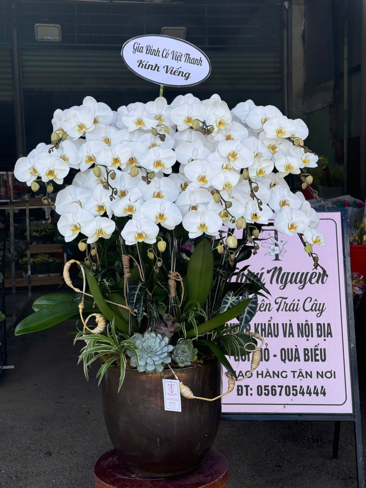Hoa Lan Hồ Điệp Chúc Mừng 76TN
