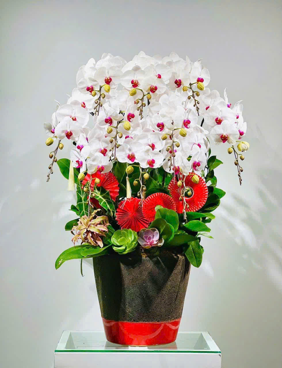 Hồ Điệp Trắng TT028