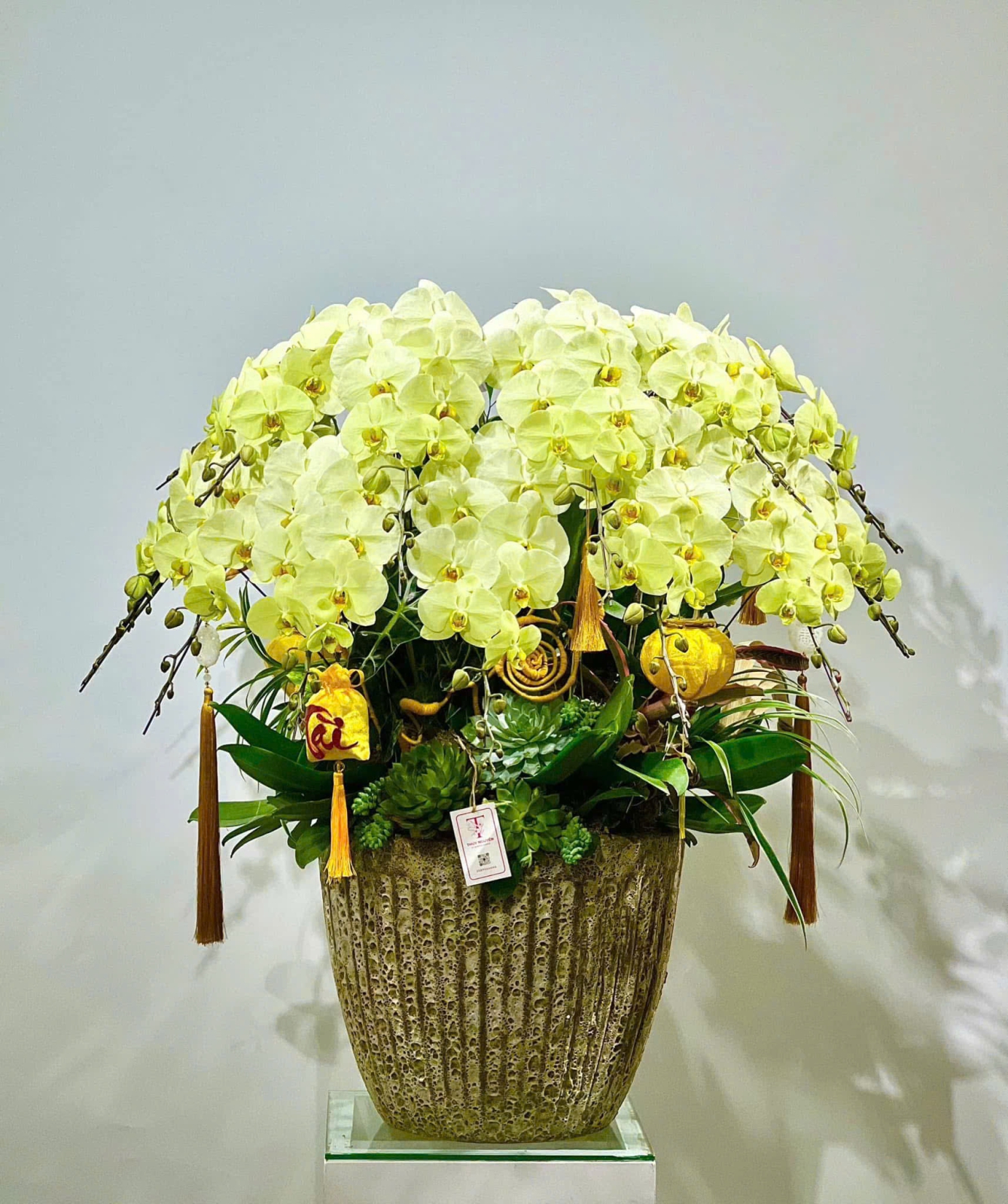 Lan Hồ Điệp TT098