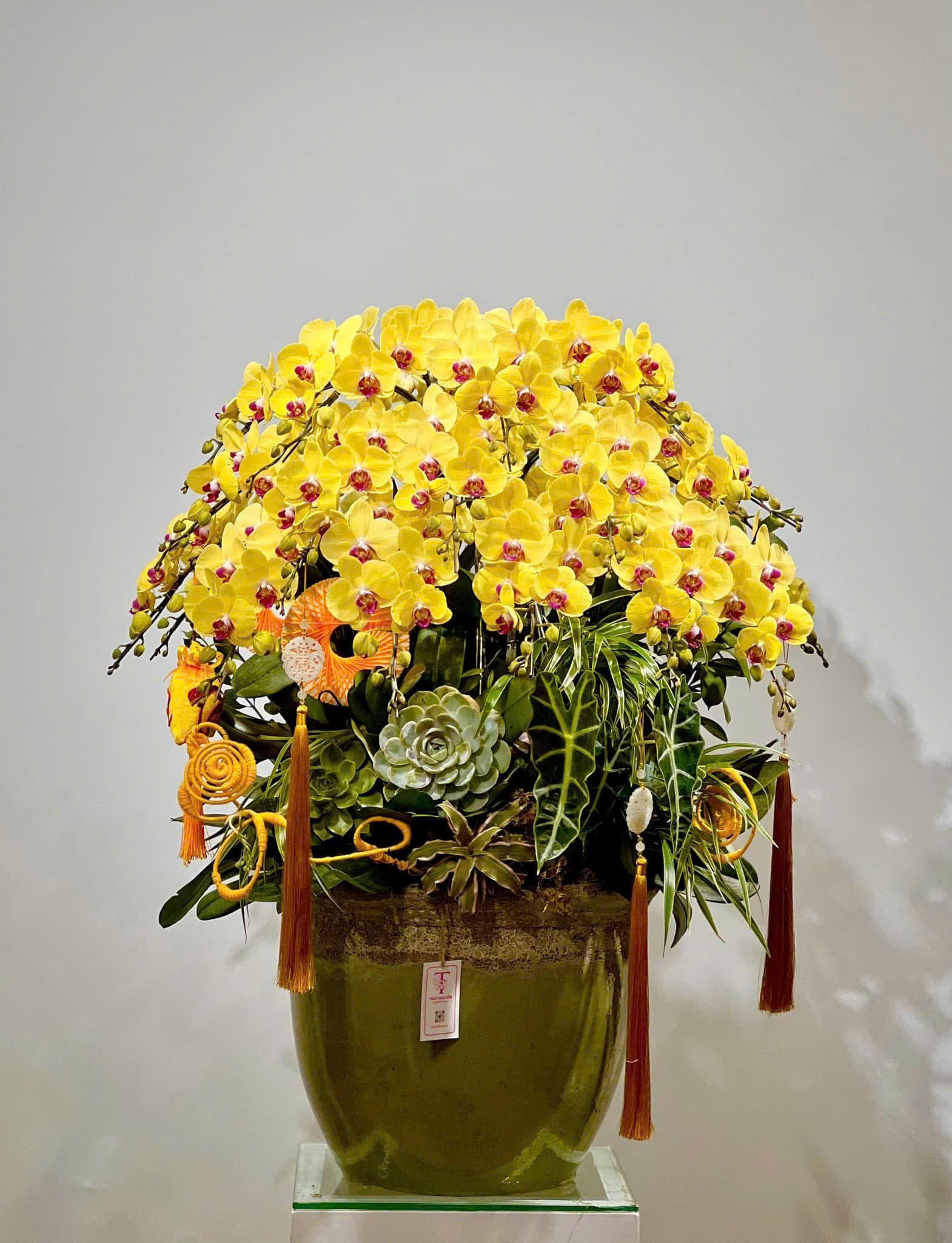 Hồ Điệp Vàng TT020