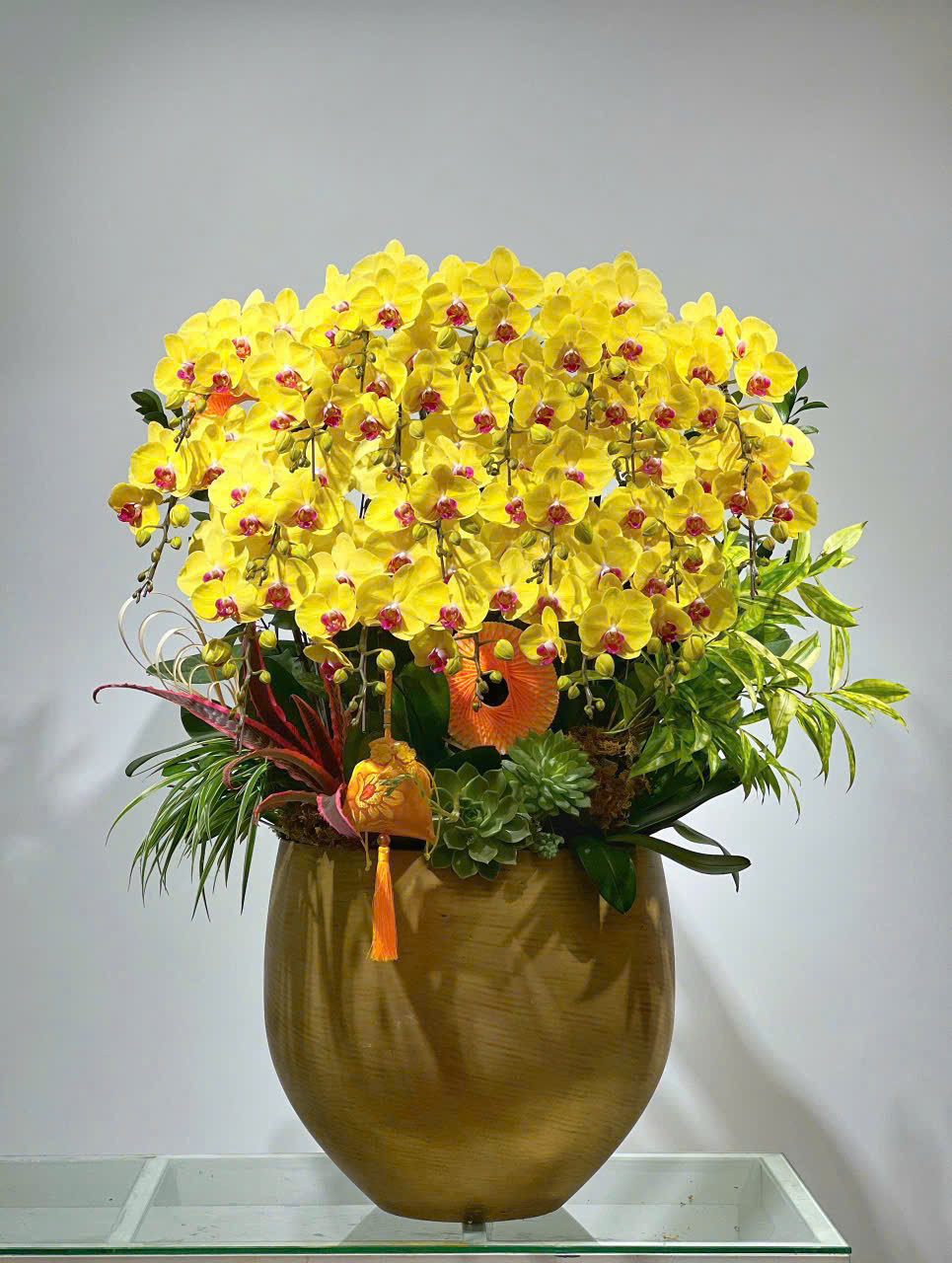 Hồ Điệp Vàng TT228